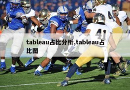 tableau占比分析,tableau占比图