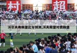 沃尔夫弗赖堡比分预测,沃夫斯堡对费赖堡