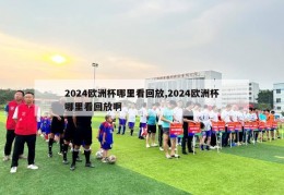 2024欧洲杯哪里看回放,2024欧洲杯哪里看回放啊