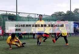 2024欧洲杯法国队集锦,法国2021欧洲杯