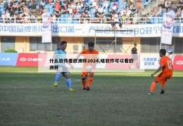 什么软件看欧洲杯2024,啥软件可以看欧洲杯