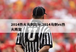 2014热火马刺比分,2014马刺vs热火阵容