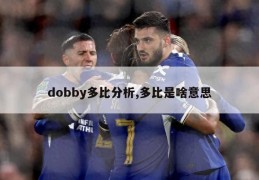 dobby多比分析,多比是啥意思