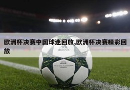 欧洲杯决赛中国球迷回放,欧洲杯决赛精彩回放