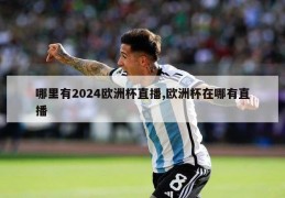 哪里有2024欧洲杯直播,欧洲杯在哪有直播