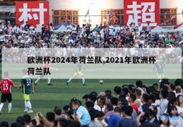 欧洲杯2024年荷兰队,2021年欧洲杯荷兰队