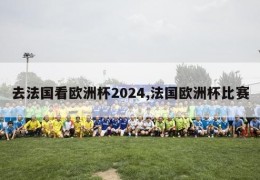 去法国看欧洲杯2024,法国欧洲杯比赛